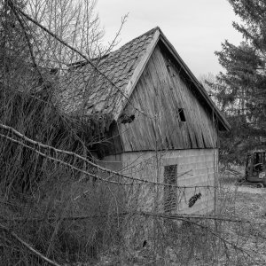 250406-Fs-1år.jpg 250406-Fs-1år.jpg