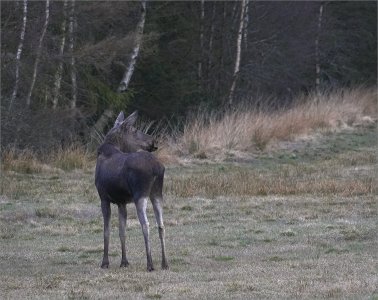 250410.01.JPG 250410.01.JPG