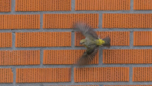 2016-04-14 247A5738.jpg 2016-04-14 247A5738.jpg