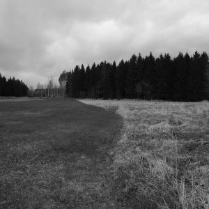 160427-FS10.jpg