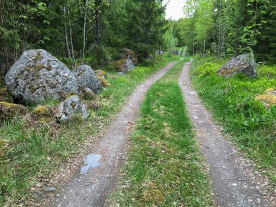 160521-FS10.jpg