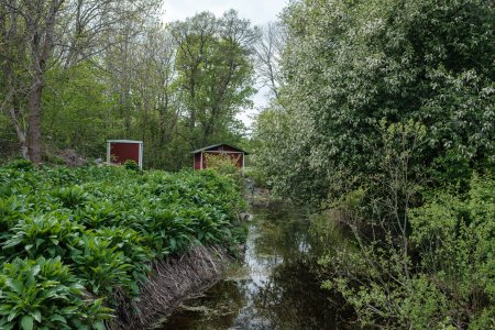 160522-FS10.jpg