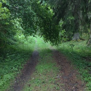 160526-FS10.jpg