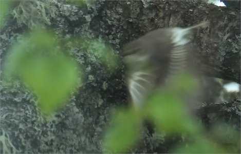 Fs Suddmes 260613.JPG Fs Suddmes 260613.JPG