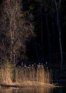 _dsc3988 översjön.jpg