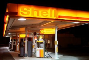 shell1.jpg