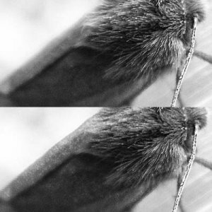 svv konv sammanlagt exempel.jpg