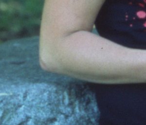 provia-crop.jpg