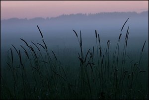 järvadimma.jpg