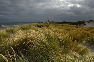 skagen3.jpg