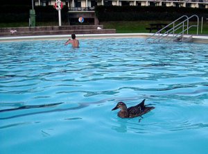 badet10.jpg