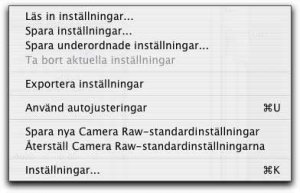 camera-raw-standard.jpg