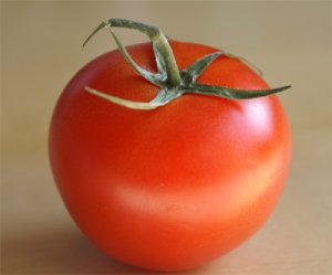 tomato1.jpg