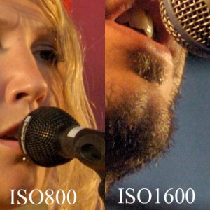 iso800-1600.jpg