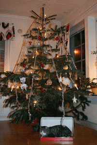 julklappskatt5669.gif