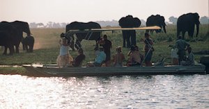 chobe_river_593_7_1.jpg