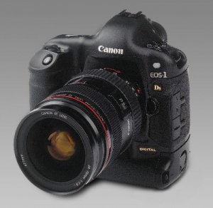 eos1dsef2470.jpg