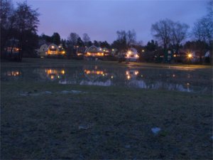 pond2.jpg