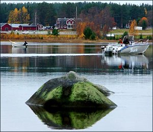 0310-gäddvik-(2).jpg