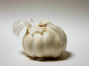 garlic.jpg