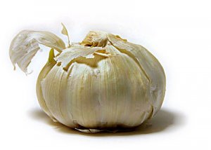 garlic2.jpg