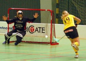 innebandy.1.jpg