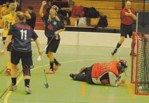 innebandy.2.jpg