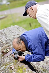 snigelfoto.jpg