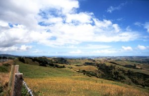 nz 400 senic lookout.jpg