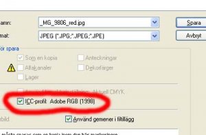namnlöst-2 kopiera.jpg