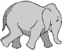 elephant.gif