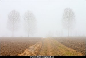 natur.jpg