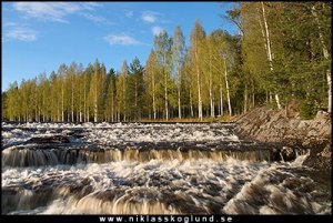 natur.jpg