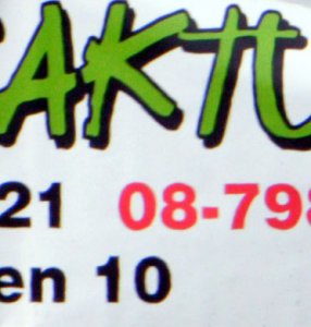 060521 0304 t utsnitt.jpg