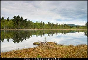 natur.jpg