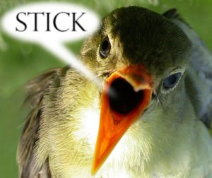 stick.jpg