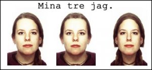 3jag.jpg