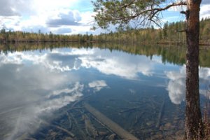 vitabborrtjärn 2.jpg