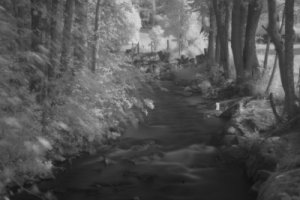 infraröd 3 sv.v.jpg