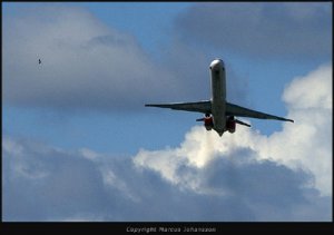 flygplan-fågel--4604-besk-4.jpg