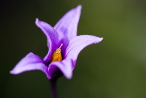 _mg_7232.jpg