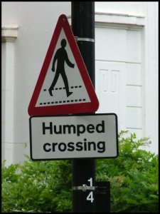 175 humped crossing.jpg