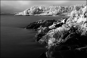 _dsc1620-ir_kust-a.jpg