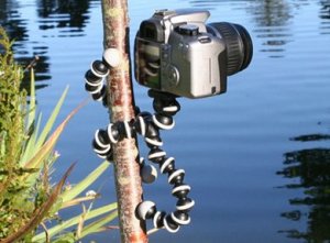 gorillapods.jpg