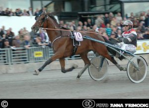 solvalla7.jpg