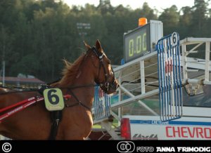 solvalla6.jpg