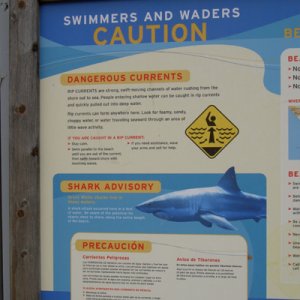 shark-advisory.jpg