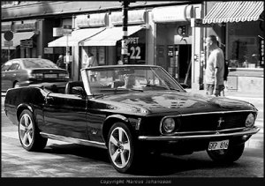 6529-mustang-hornsg-sv-40k.jpg