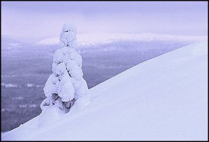 snotradfoto.jpg