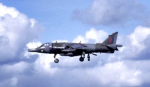 harrier0325.jpg